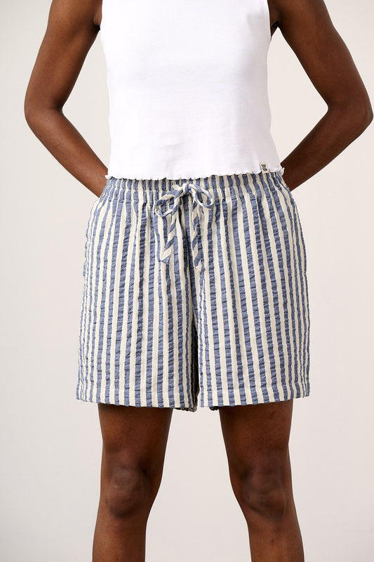 Charlie - Cotton Shorts in Navy Stripe