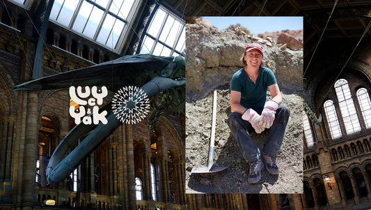 Inside Palaeontology with Professor Susie Maidment