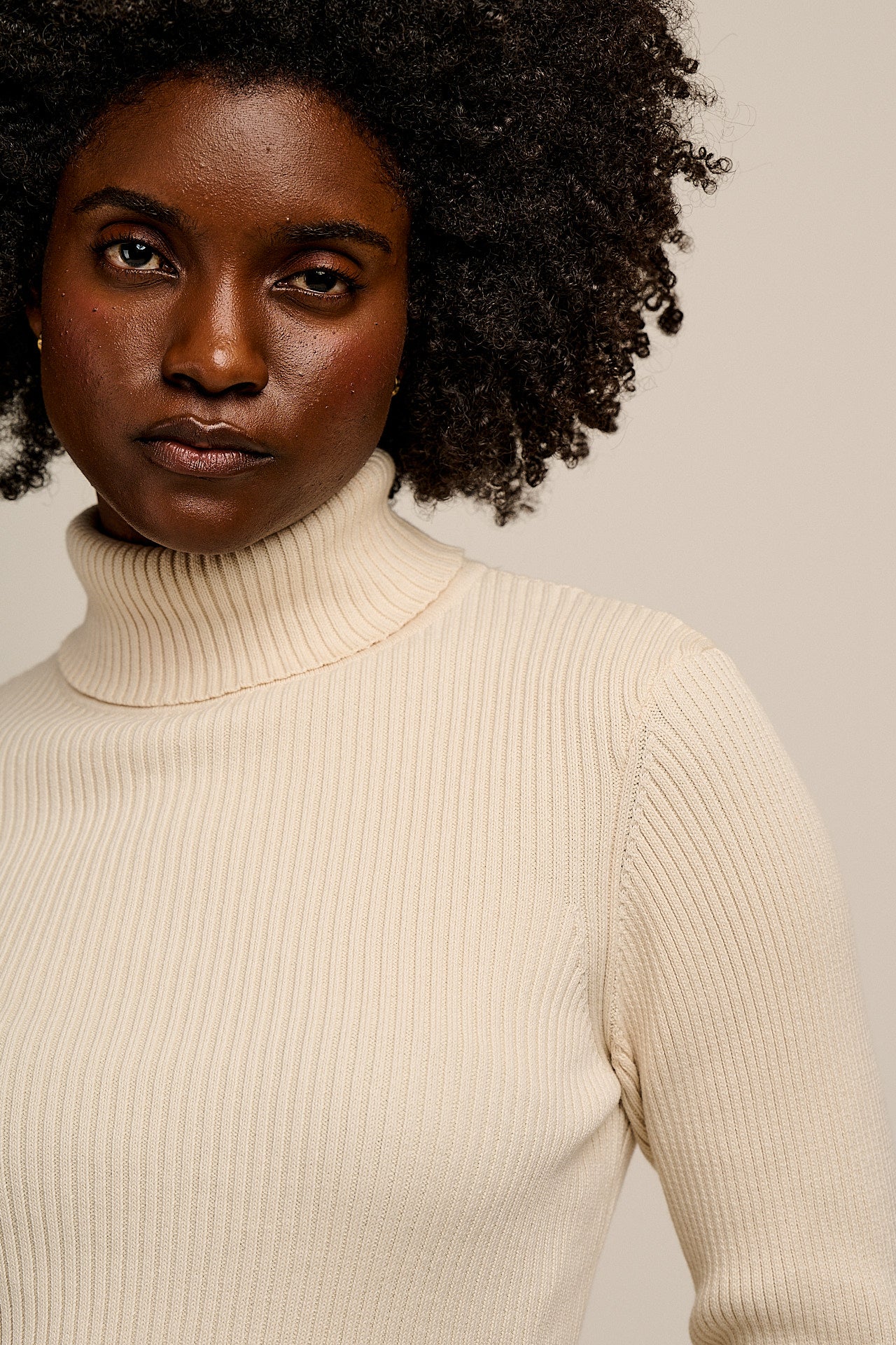 Eva -  Knitted Roll Neck Long Sleeve Top in Pearl