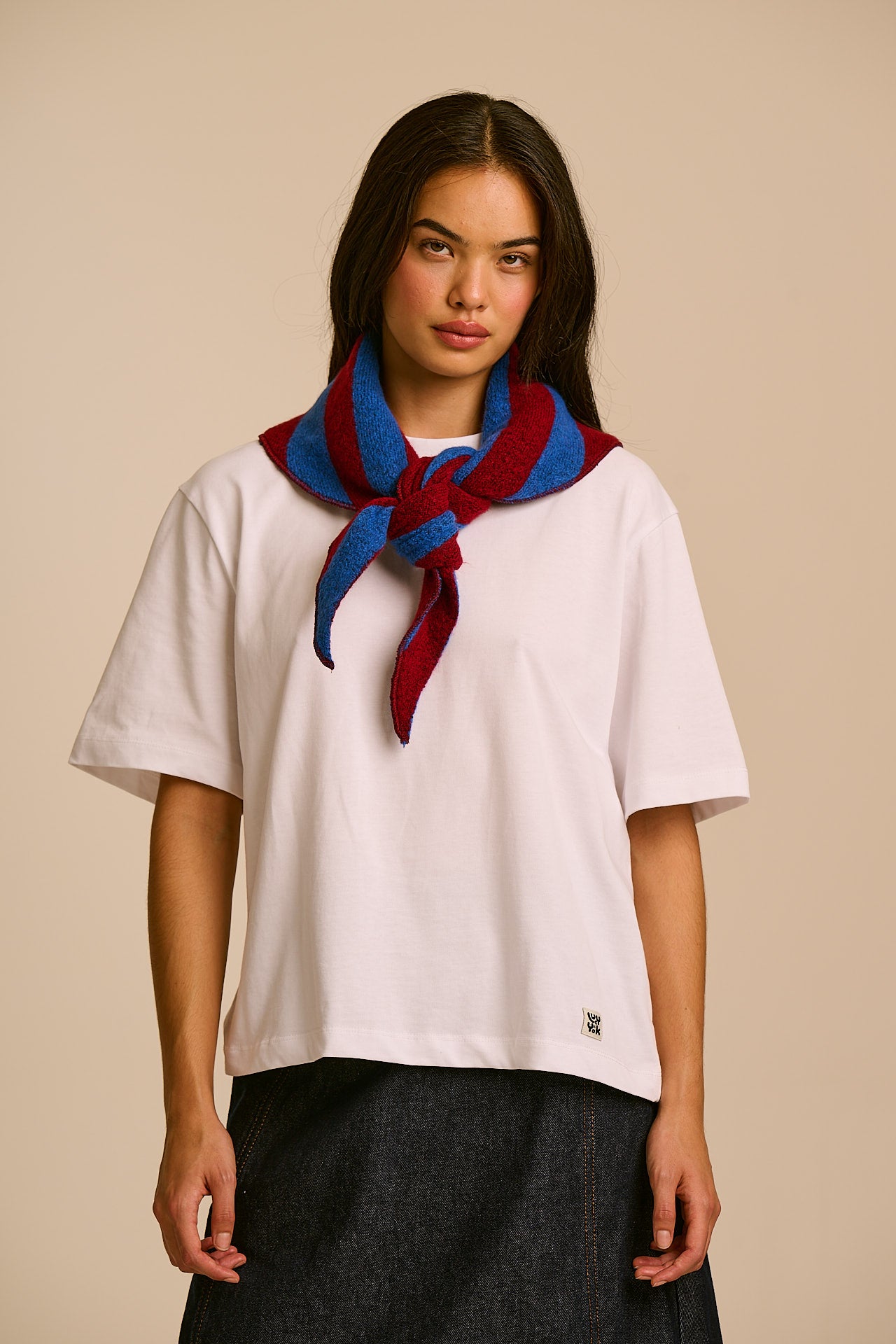 Loki -  Neck Scarf in Burgundy and Blue Stripe