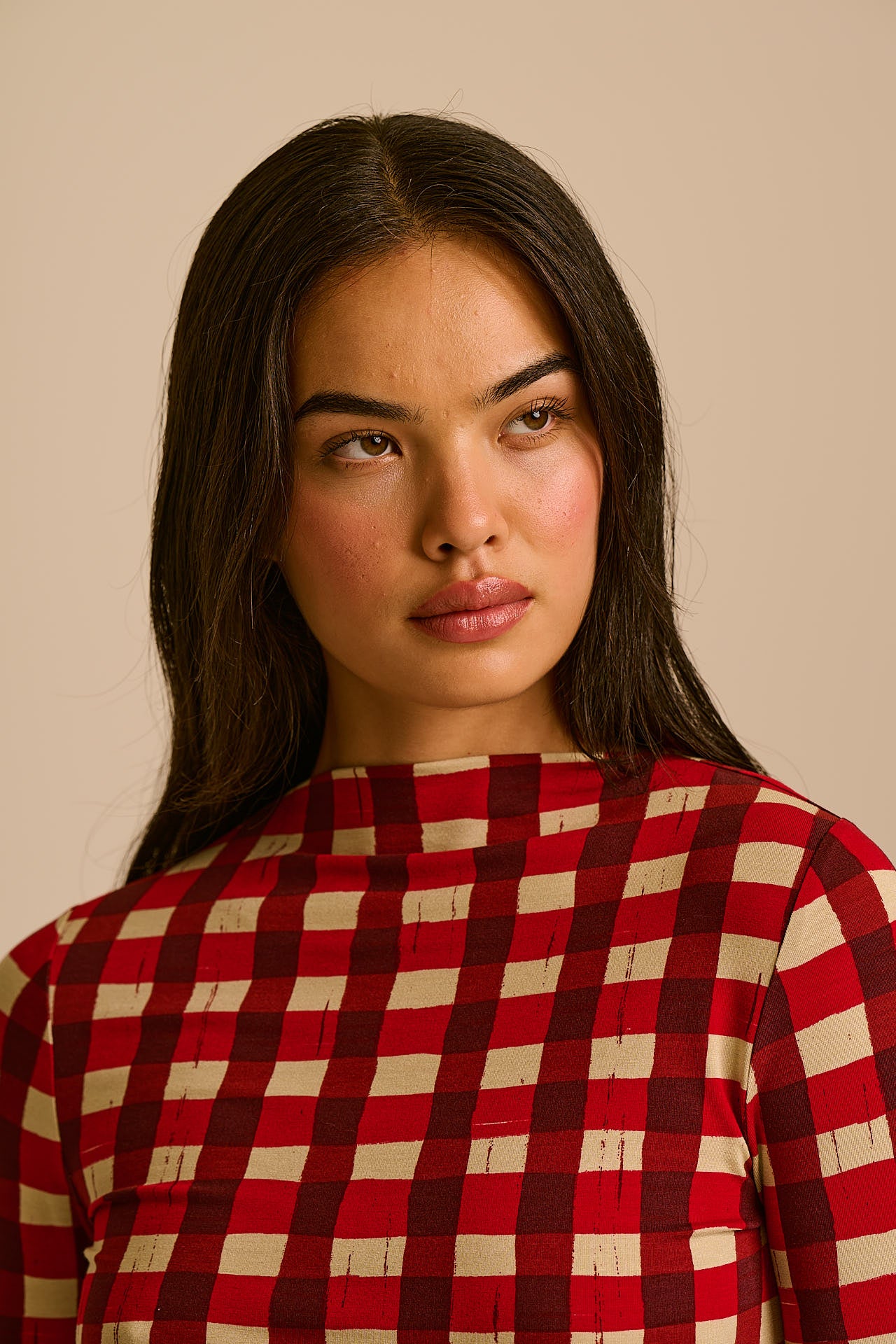 Sara - Mock Neck Viscose Top in Burgundy Gingham