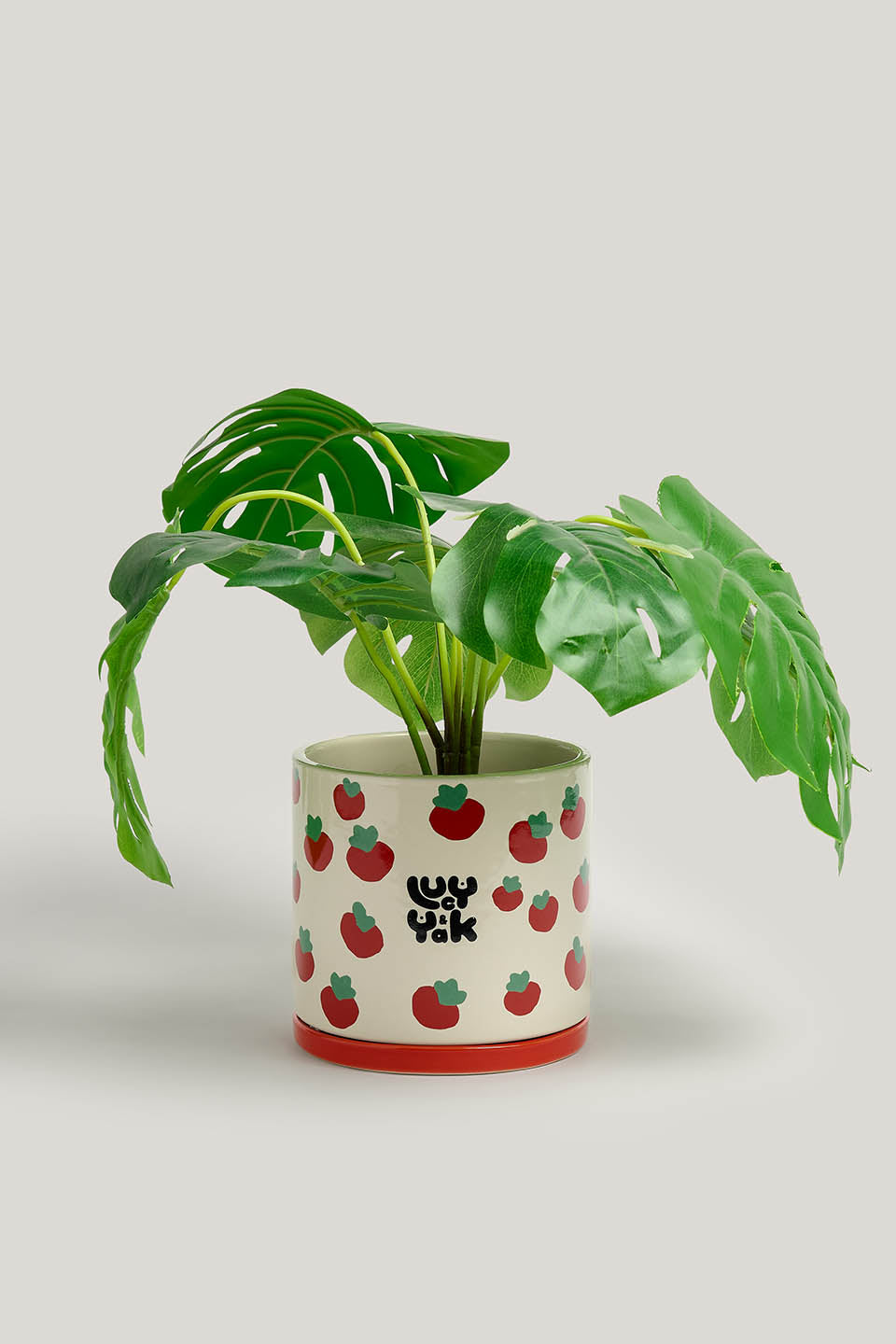 Fern - Ceramic Plant Pot in Tomatoes Print