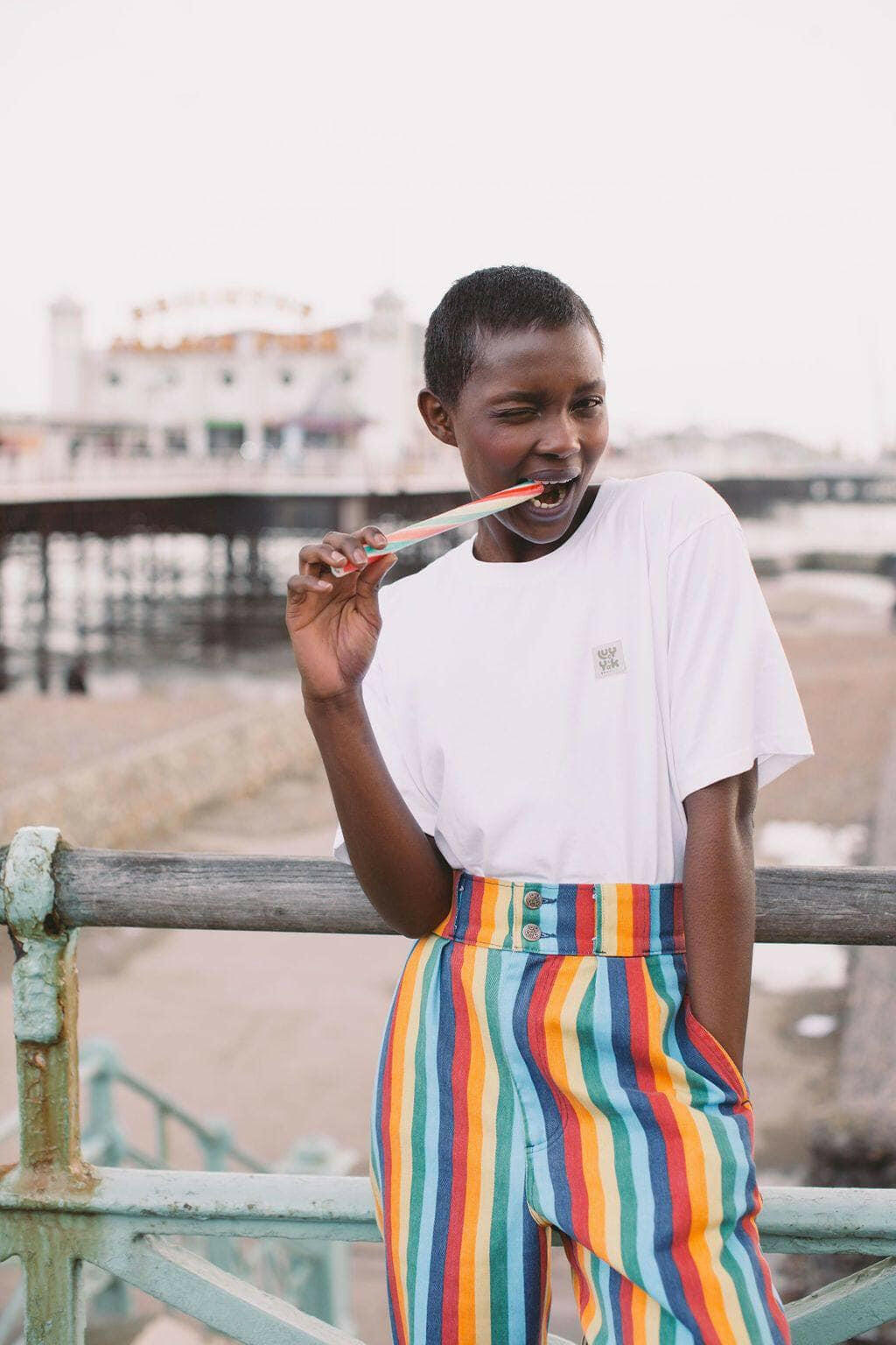 Lucy & Yak trousers 'Addison' High Waisted Organic Cotton Twill Trousers in Rainbow Stripe